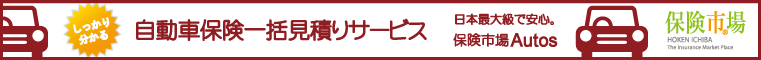 自動車保険の比較なら保険市場